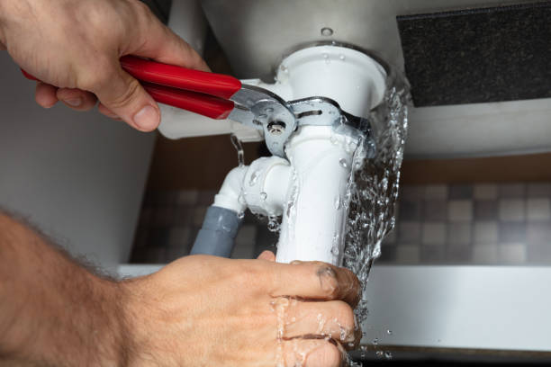 Best Residential water damage restoration  in Elk Ridge, UT