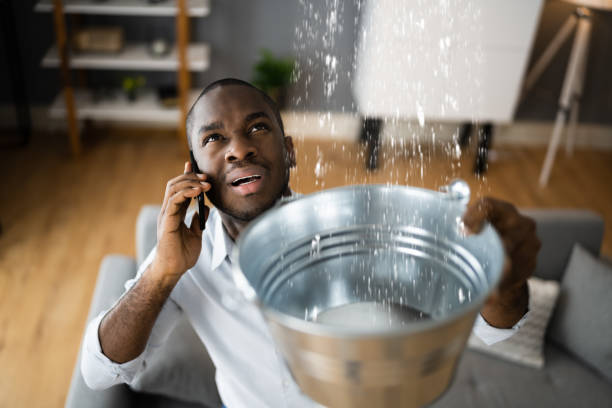 Best Water damage cleanup near me  in Elk Ridge, UT