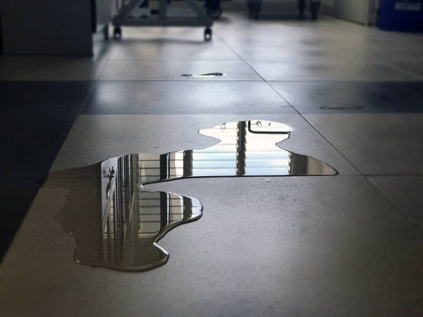 Best 24/7 water damage repair  in Elk Ridge, UT
