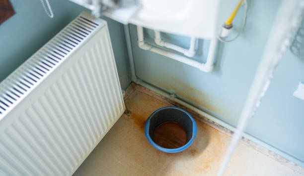Best Flood restoration services  in Elk Ridge, UT